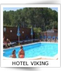 Hotel Viking